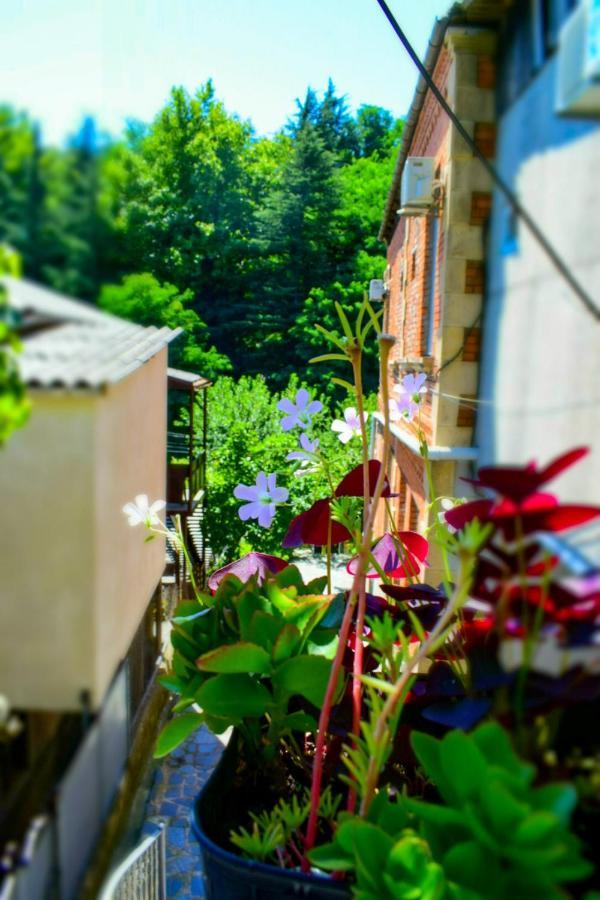 A.G'S Guest House Kutaissi Exterior foto